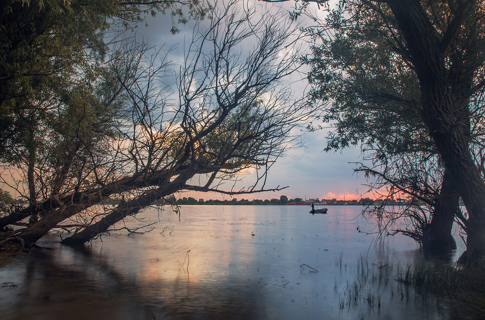 Фотографія ... / Zhelnova Galiya / photographers.ua