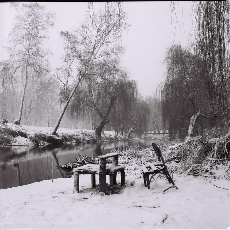 Фотографія *** / Cергей Задорецкий / photographers.ua