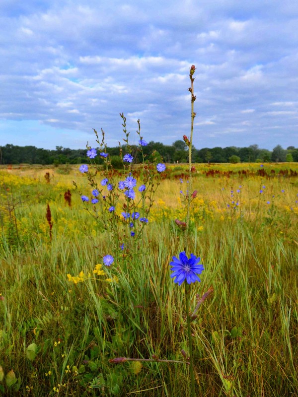 Фотографія Пейзаж / Юлия Вараксина / photographers.ua