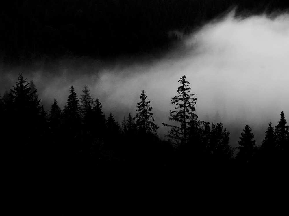 Фотографія исчезнуть бы в том тумане.... / Bernadette / photographers.ua