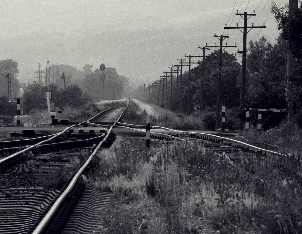 Фотографія не мы выбираем путь - путь выбирает нас. / Bernadette / photographers.ua