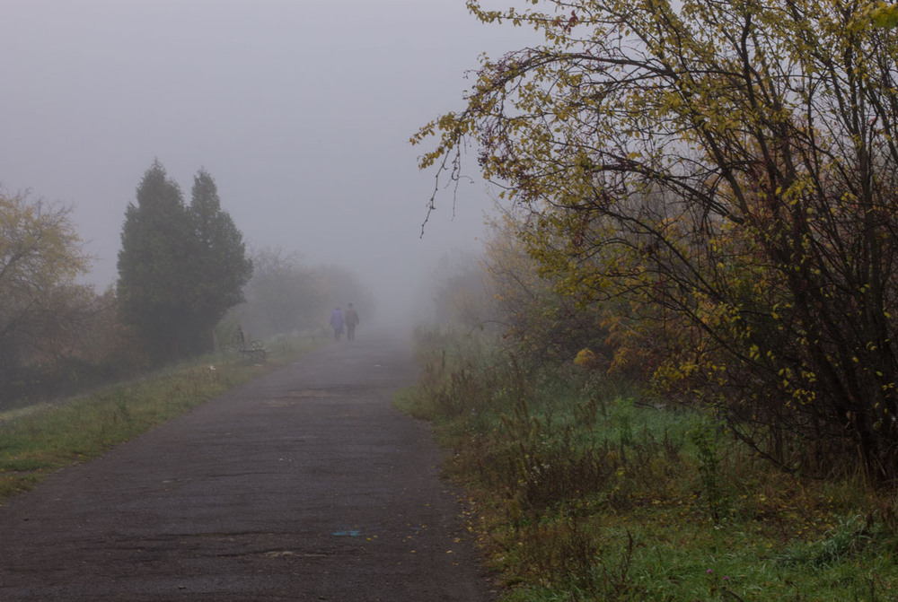 Фотографія The autumn mist... / Оксана Сищук / photographers.ua