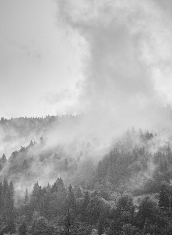 Фотографія Plume of smoke / Оксана Сищук / photographers.ua