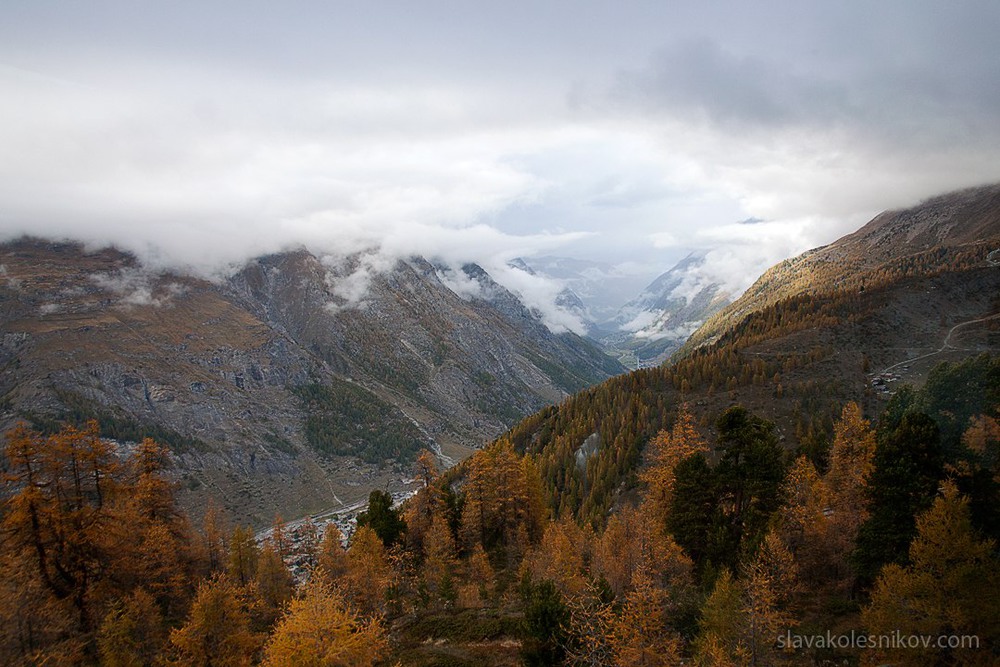 Фотографія Осень в швейцарских Альпах / Slava_Kolesnikov / photographers.ua