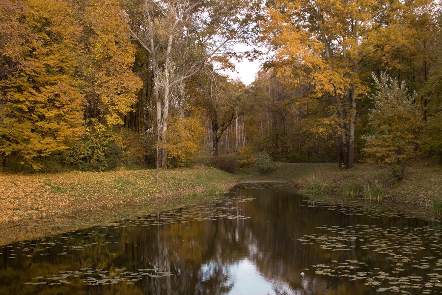 Фотографія *** / Дмитрий Гусаков / photographers.ua