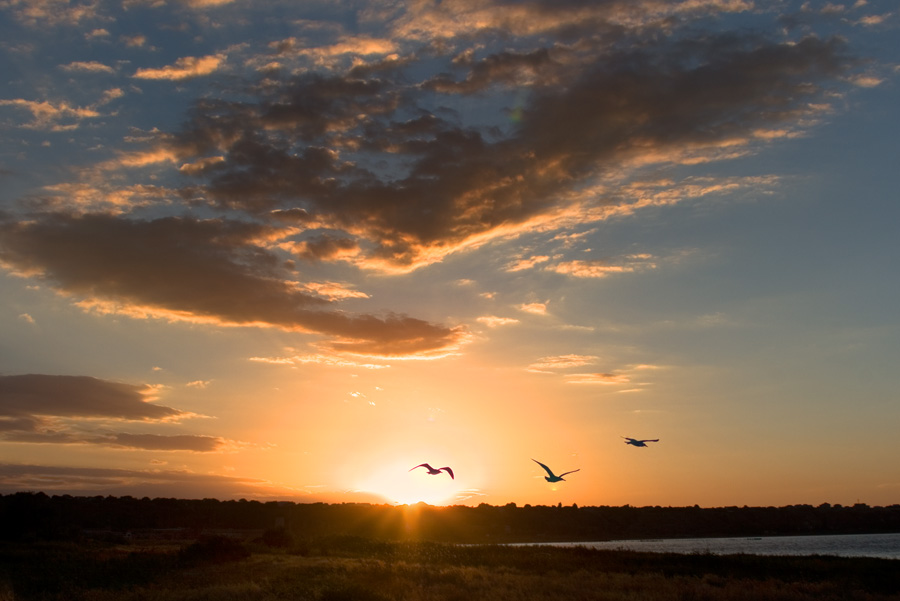 Фотографія Закат на лимане / Дмитрий Гусаков / photographers.ua