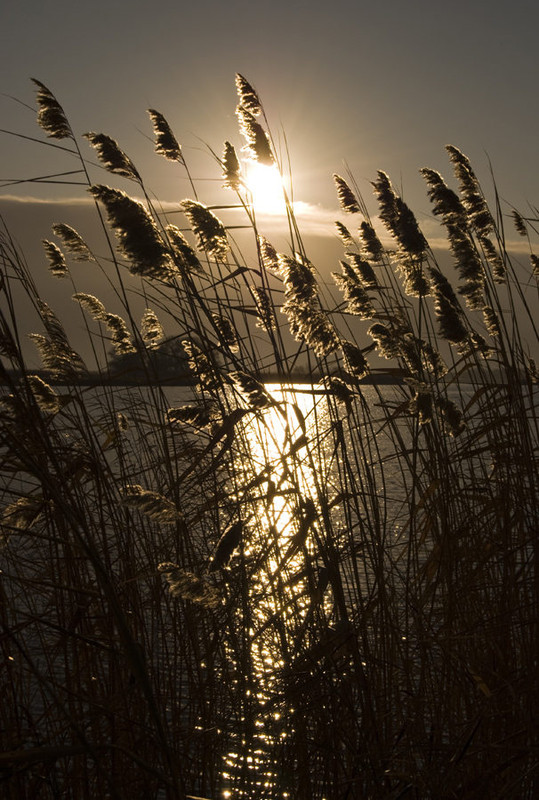 Фотографія Осенний рассвет / Роман Плотников / photographers.ua