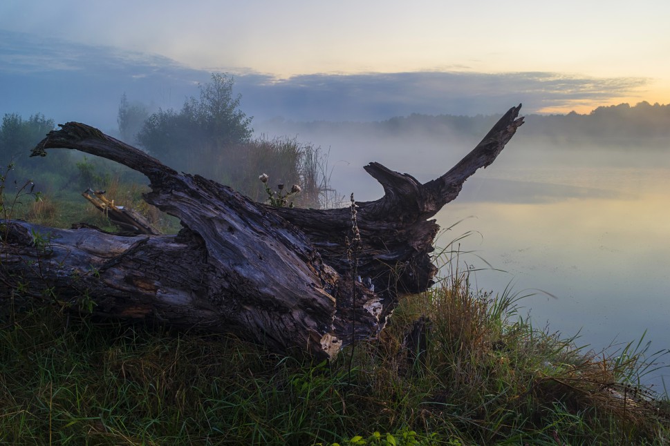 Фотографія На берегу туманной реки / Сергій Корнєв / photographers.ua