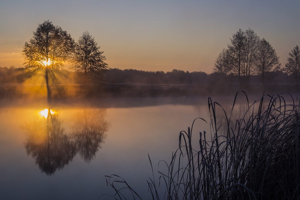 Фотографія Солнечное утро на реке Псел / Сергій Корнєв / photographers.ua
