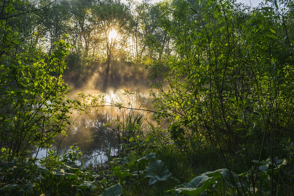 Фотографія Солнечный рассвет с туманом / Сергій Корнєв / photographers.ua