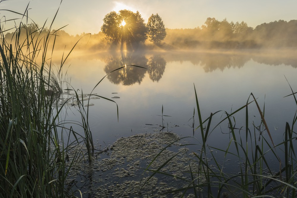 Фотографія Утро в теплых тонах / Сергій Корнєв / photographers.ua