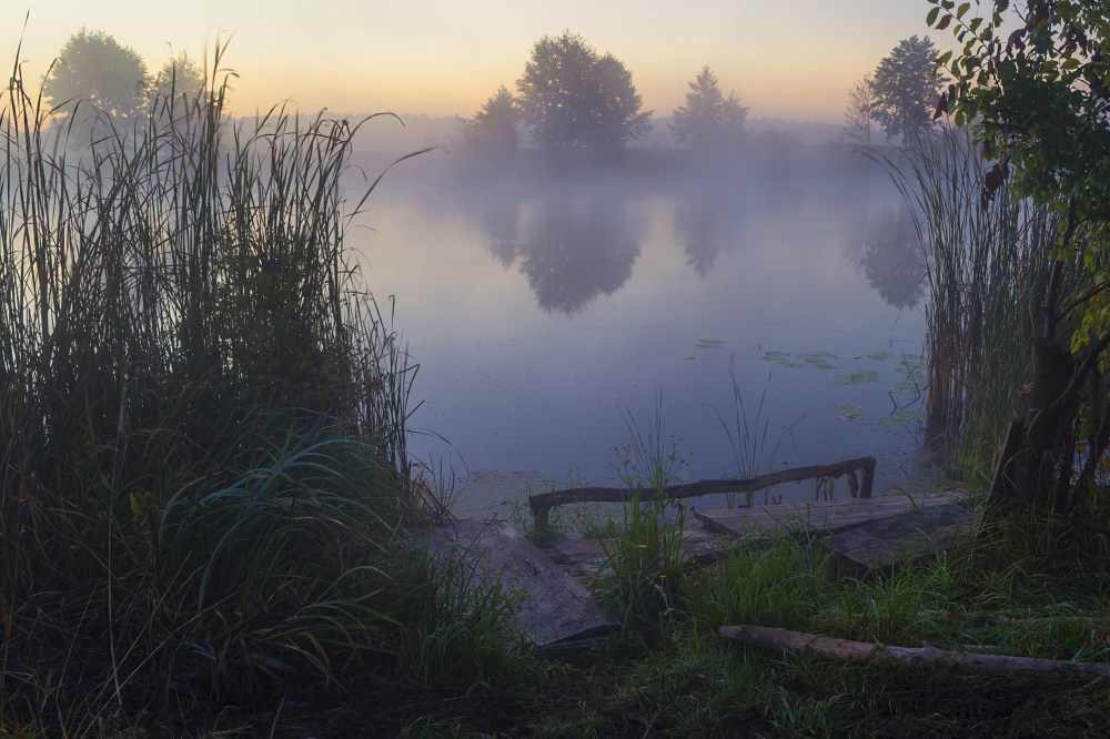 Фотографія Река в тумане / Сергій Корнєв / photographers.ua