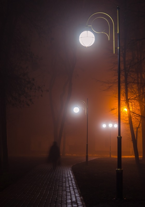 Фотографія Прогулка в тумане / Сергій Корнєв / photographers.ua