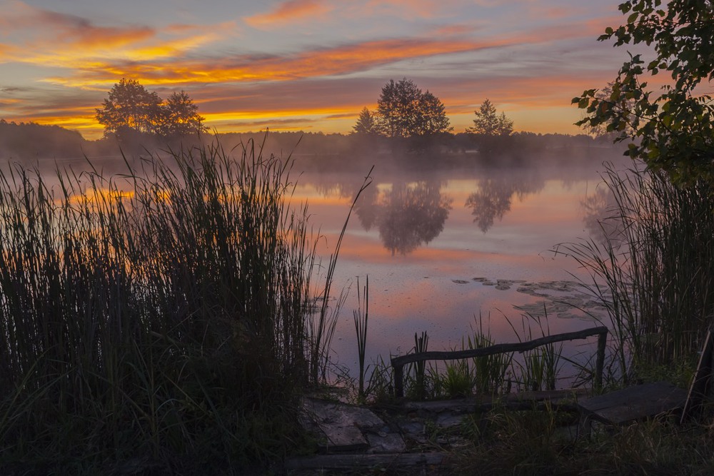 Фотографія Из серии "Одно осеннее утро" / Сергій Корнєв / photographers.ua
