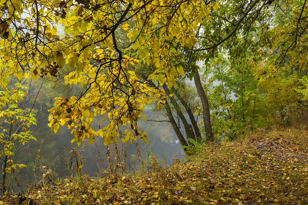 Фотографія Осеннее настроение / Сергій Корнєв / photographers.ua