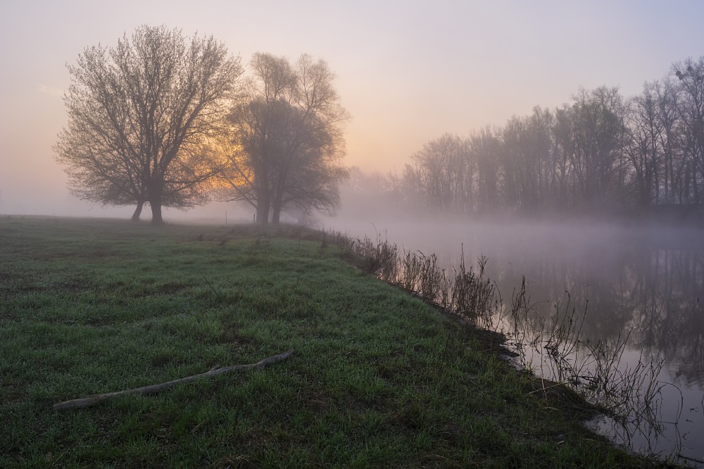 Фотографія Туманное утро на реке Псел / Сергій Корнєв / photographers.ua
