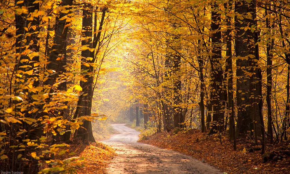 Фотографія Пейзаж / Вадим Тарасов / photographers.ua