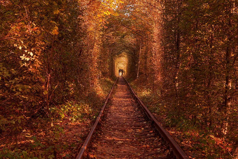 Фотографія Свет в конце тоннеля... / Svetlana Chernikova / photographers.ua