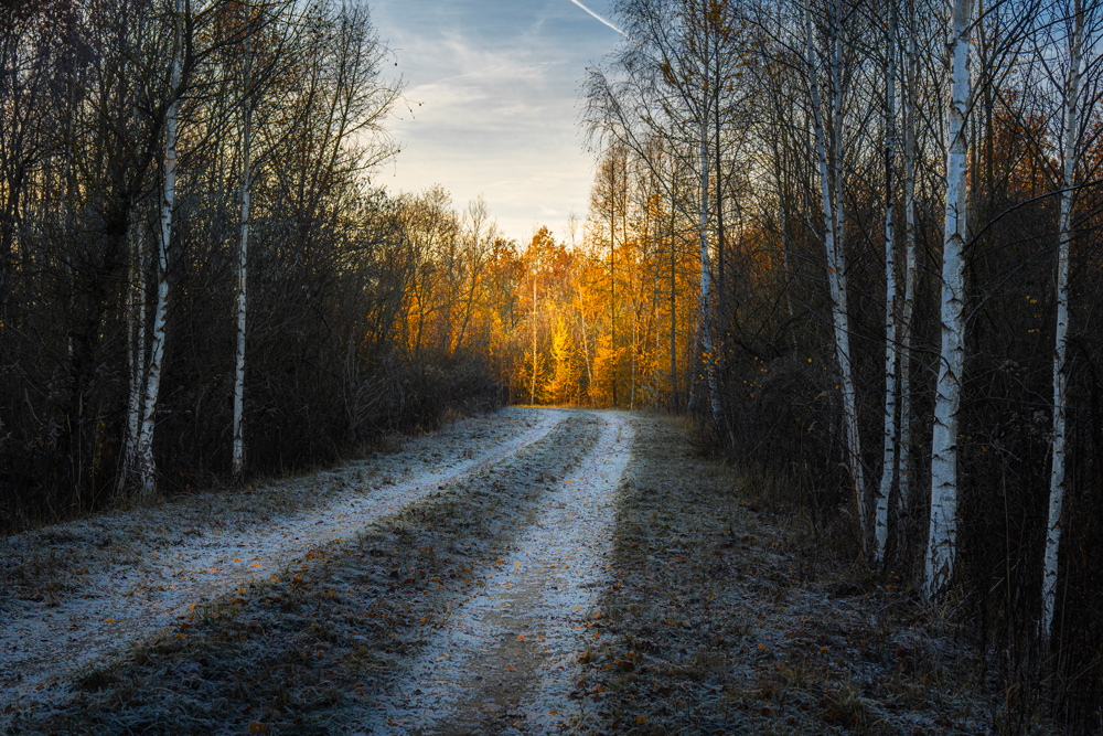 Фотографія Останній подих осені перед зимою / Артем Тарасов / photographers.ua