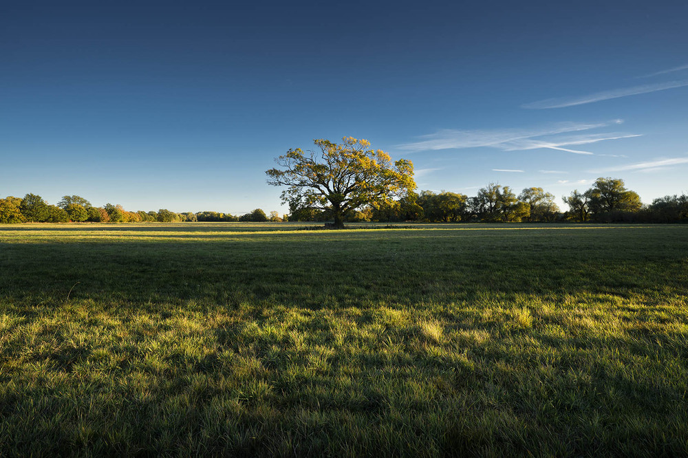 Фотографія Літо на прощання / Артем Тарасов / photographers.ua
