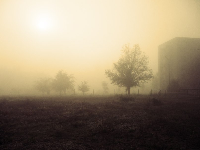 Фотографія Хроніка туманного ранку / El'za / photographers.ua