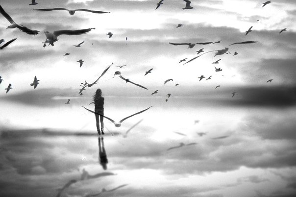 Фотографія Пейзаж / Анастасия Андреева / photographers.ua