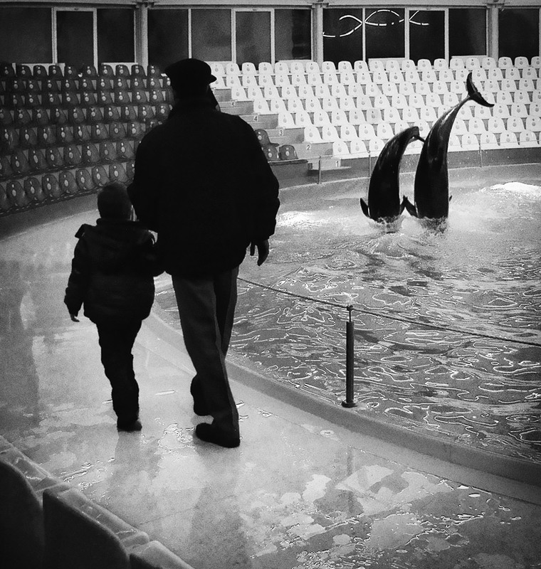 Фотографія Дельфины и люди / Алена Гром / photographers.ua