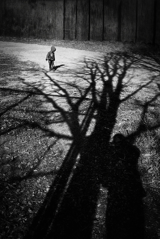 Фотографія Когда деревья были большими / Алена Гром / photographers.ua
