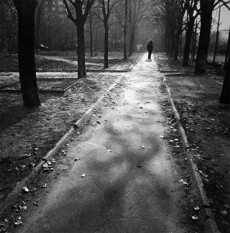Фотографія Одинокие прогулки / Алена Гром / photographers.ua