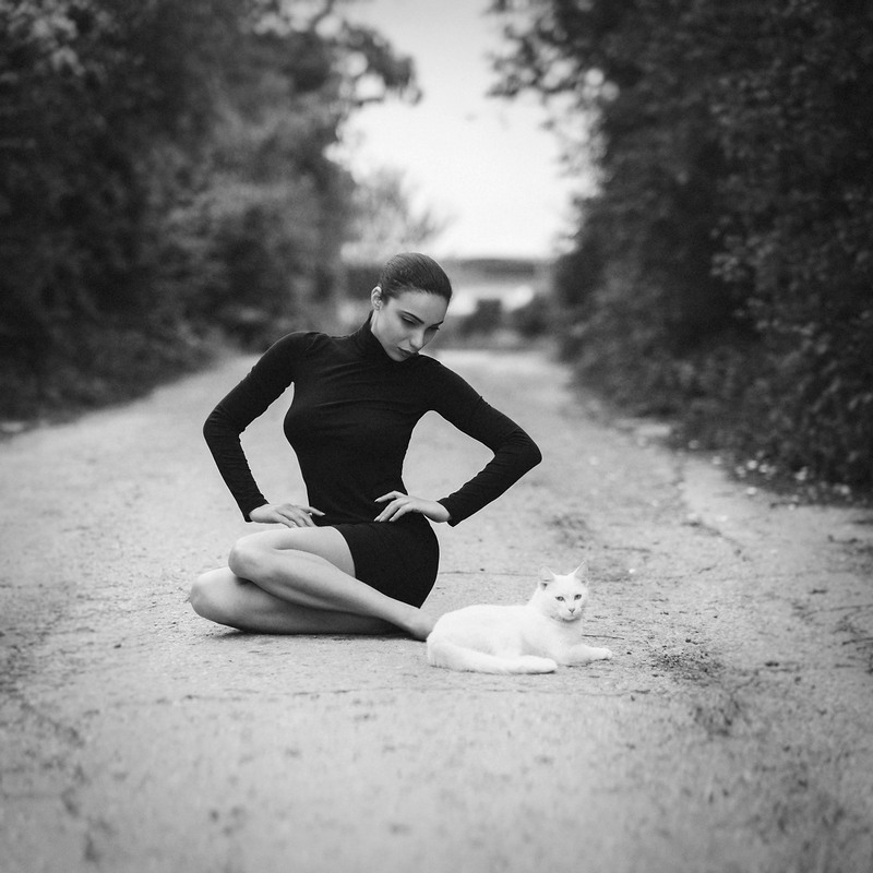 Фотографія Черная кошка, белый кот / © Kalynsky / photographers.ua
