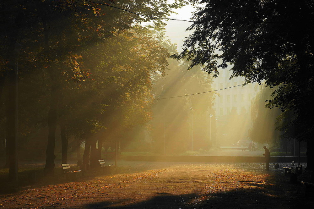 Фотографія осень / Володимир Горбач / photographers.ua