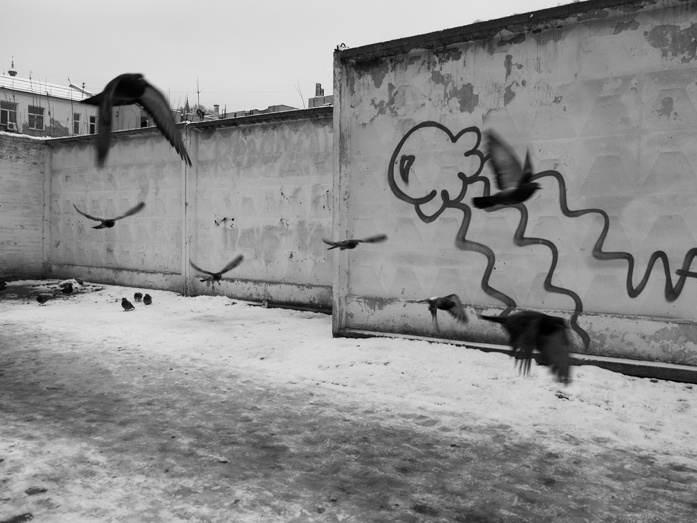 Фотографія Разное / Роман Чиж / photographers.ua