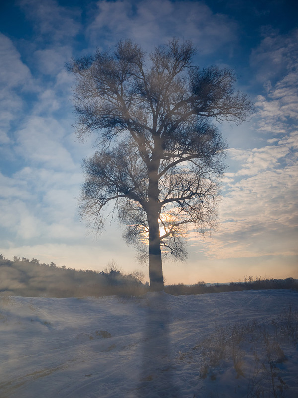 Фотографія Пейзаж / Роман Чиж / photographers.ua