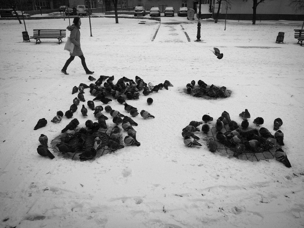 Фотографія Жанр / Роман Чиж / photographers.ua