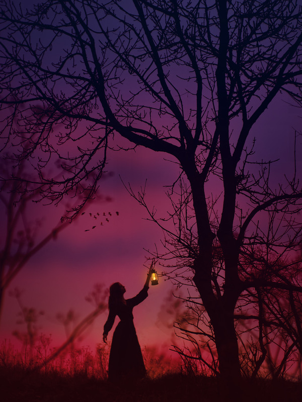 Фотографія Портрет / Олексій Мандрико / photographers.ua