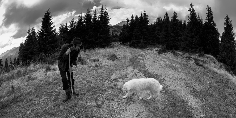 Фотографія Полонинські / Андрій Bramms / photographers.ua