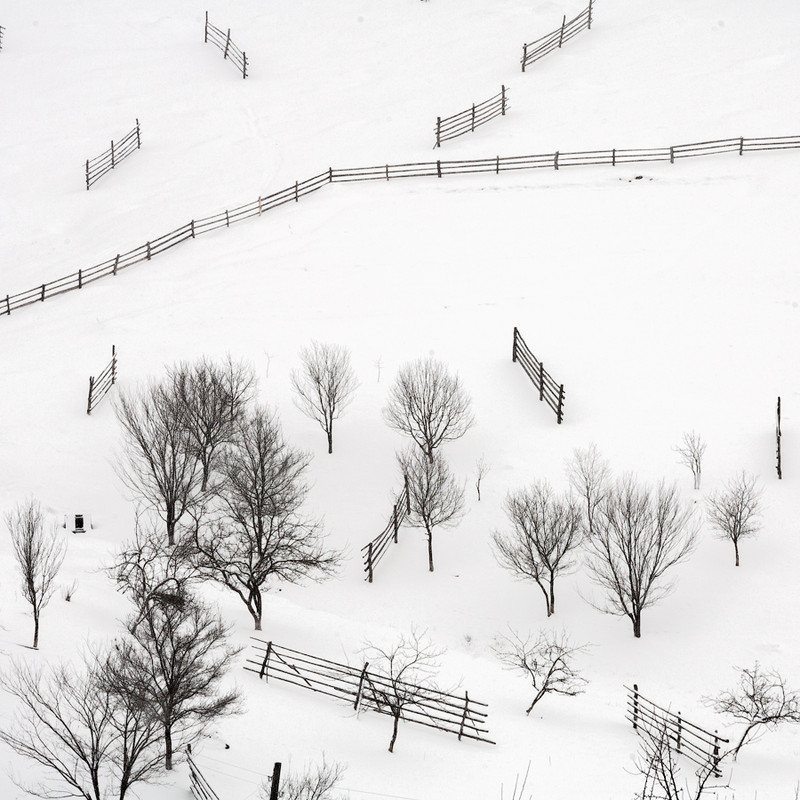 Фотографія Карпатський квадрат зимовий / Андрій Bramms / photographers.ua