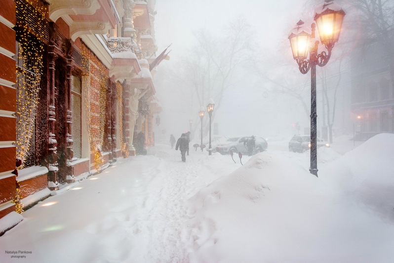 Фотографія Зима в Одессе / Наталья Панкова / photographers.ua