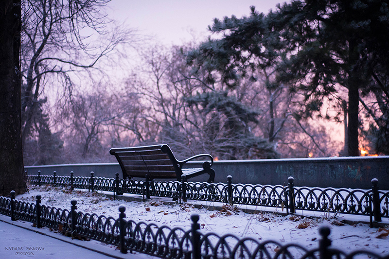 Фотографія Первый снег в Одессе / Наталья Панкова / photographers.ua