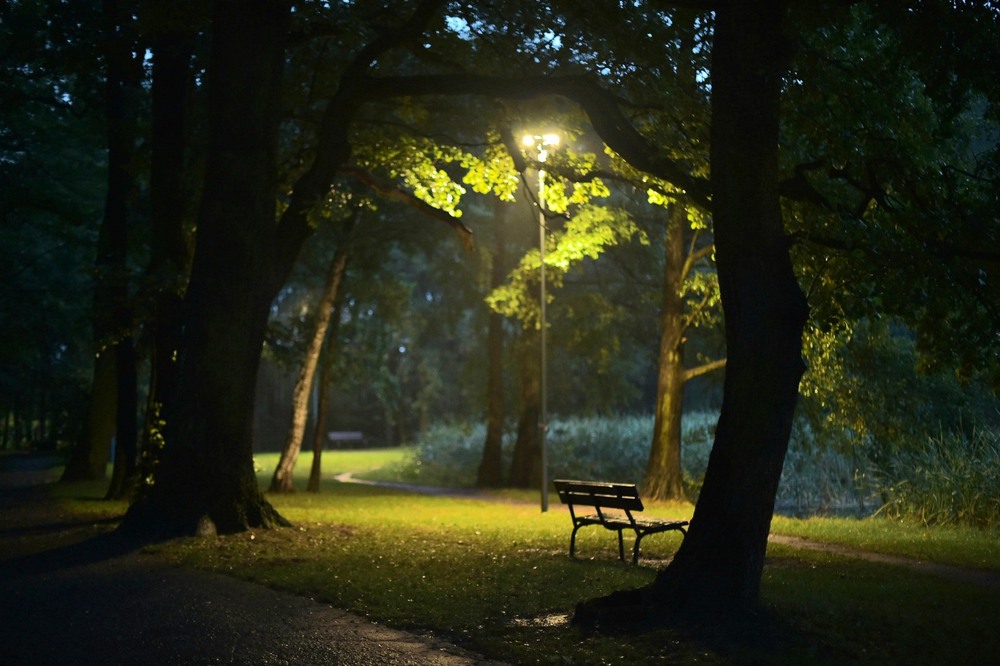 Фотографія Ранкова / Andrii Kurinnyi / photographers.ua