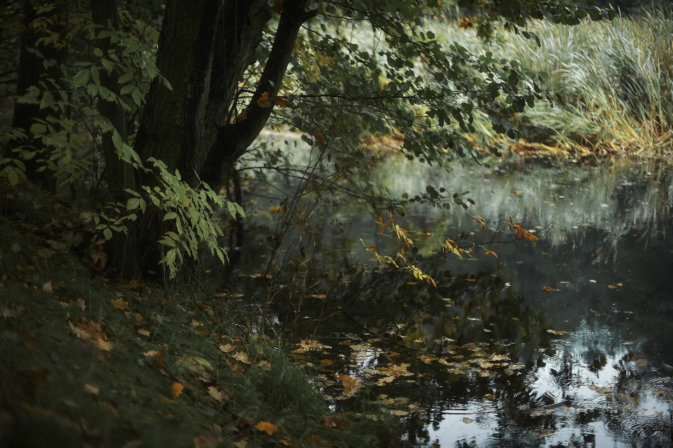 Фотографія Пейзаж / Andrii Kurinnyi / photographers.ua