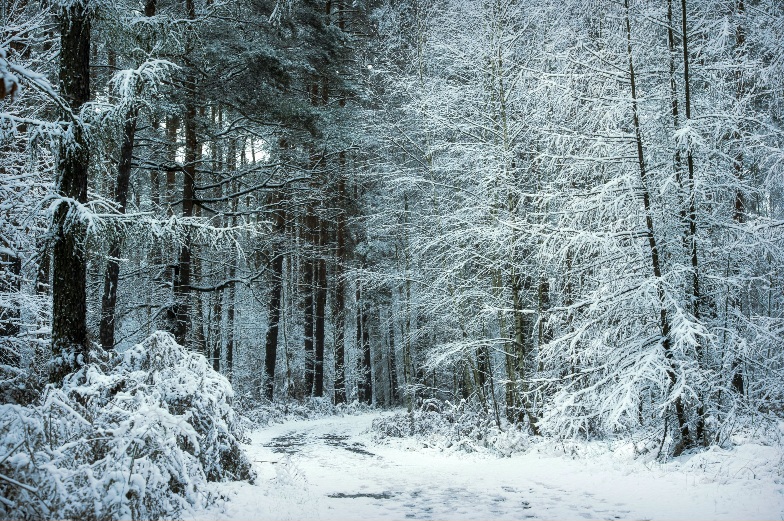 Фотографія Пейзаж / Andrii Kurinnyi / photographers.ua