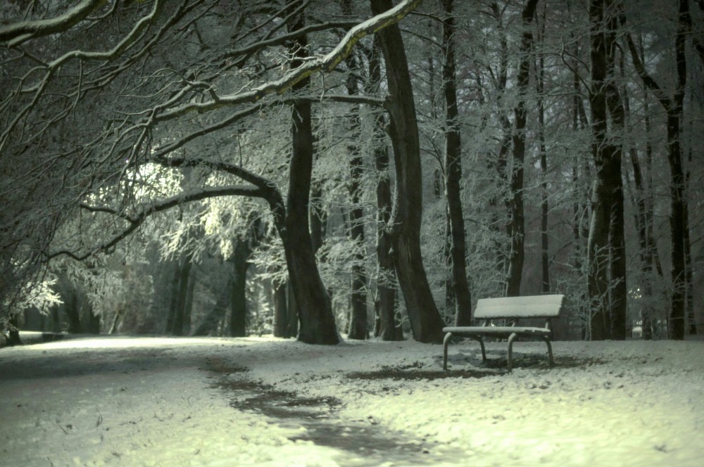 Фотографія Ранкова / Andrii Kurinnyi / photographers.ua