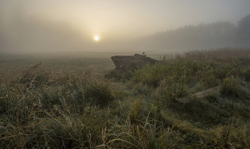 Фотографія *** / Andrii Kurinnyi / photographers.ua