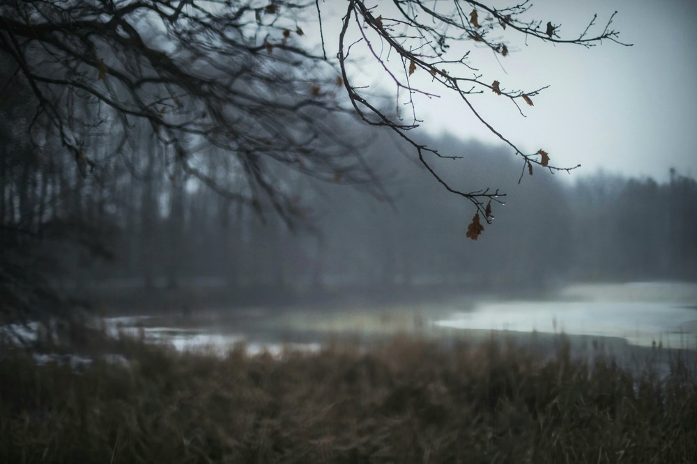 Фотографія Пейзаж / Andrii Kurinnyi / photographers.ua