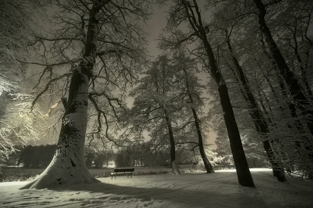 Фотографія Зустрічая світанок... / Andrii Kurinnyi / photographers.ua