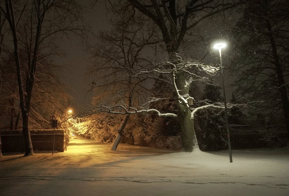 Фотографія Город, архитектура / Andrii Kurinnyi / photographers.ua