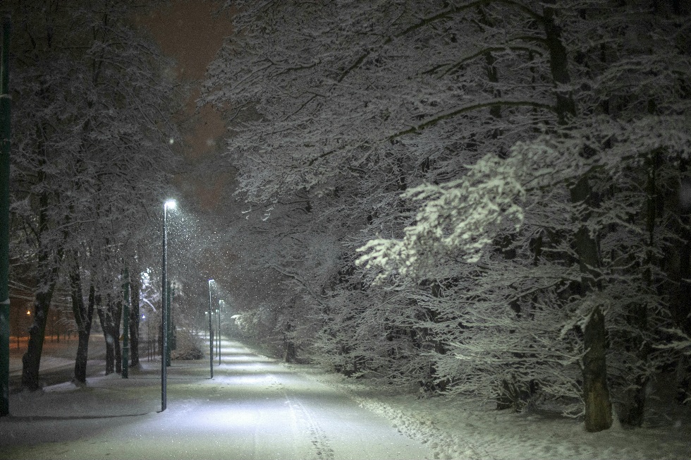 Фотографія Пейзаж / Andrii Kurinnyi / photographers.ua