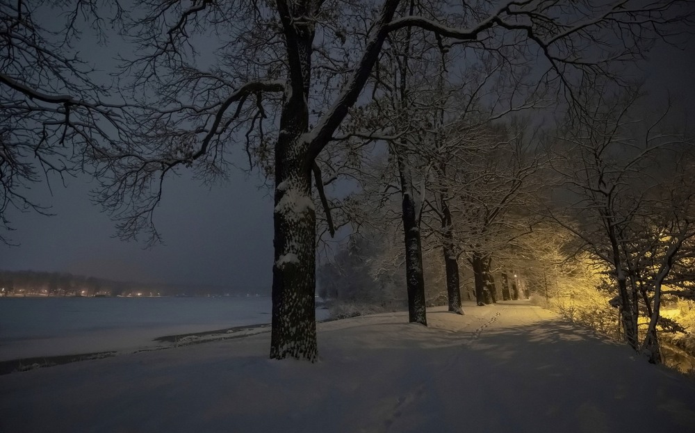 Фотографія Пейзаж / Andrii Kurinnyi / photographers.ua