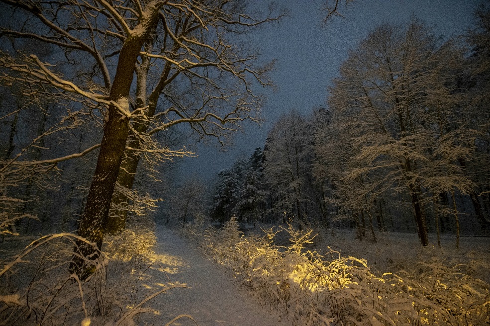 Фотографія Ранкова... / Andrii Kurinnyi / photographers.ua